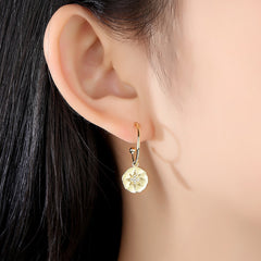 Aetolia 925 Sterling Silver 18K Gold Plated Star Open Dangle Hoop Earrings SE0496