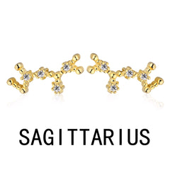 Aetolia Pisces Stud Earrings Wholesaler With Zircon 925 Silver Earrings For Women Luxury Earrings Trendy