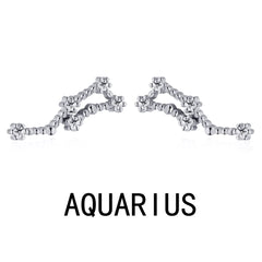 Aetolia Pisces Stud Earrings Wholesaler With Zircon 925 Silver Earrings For Women Luxury Earrings Trendy