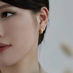 Aetolia S925 Sterling Silver Needle Circular Matte Frosted Stud Earrings For Girls Women Top hot sale Aetolia Fashion Huggie Earrings Trend