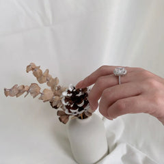 Aetolia S925 Ring Luxury Designs Engagement For Women Crystal Trendy Elegant Set Night Shining Rings Women