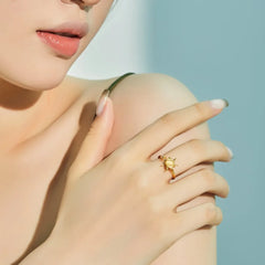Aetolia Cz Rotatable Anxiety Ring Open Charm Best Friend Gift Jewelry Waterproof S925 Silver 18K Gold Sunflower Rings For Women