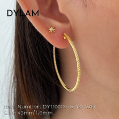 Aetolia Minimalist Sterling Silver 925 earring Luxury Statement Zircon Different Size 18k Gold Plated Huggie Chunky Hoop Earrings