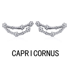 Aetolia Pisces Stud Earrings Wholesaler With Zircon 925 Silver Earrings For Women Luxury Earrings Trendy