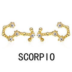 Aetolia Pisces Stud Earrings Wholesaler With Zircon 925 Silver Earrings For Women Luxury Earrings Trendy