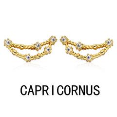 Aetolia Pisces Stud Earrings Wholesaler With Zircon 925 Silver Earrings For Women Luxury Earrings Trendy