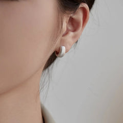 Aetolia S925 Sterling Silver Needle Circular Matte Frosted Stud Earrings For Girls Women Top hot sale Aetolia Fashion Huggie Earrings Trend