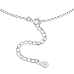 Aetolia Retro Chunky Round Snake Bone Chain U-Shaped Lock Pendant Necklace Waterproof S925 Sterling Silver Necklaces For Women