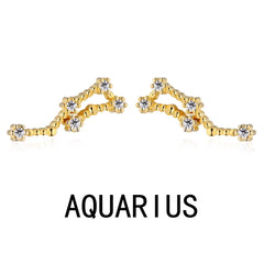 Aetolia Leo Stud Earrings AetoliaWith Zircon 925 Silver Earrings For Women Luxury Earrings Trendy