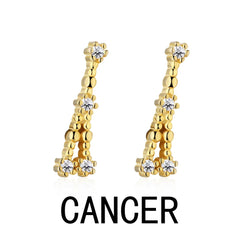 Aetolia Leo Stud Earrings AetoliaWith Zircon 925 Silver Earrings For Women Luxury Earrings Trendy