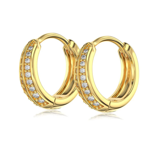 Aetolia Wholesale Geometric 18K Gold Plated Retro Shiny S925 Zircon Earring Round Circle Huggie Hoop Earrings For Women Jewelry